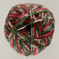 WYS - Signature 4 Ply - Christmas Special - 886 Holly Berry
